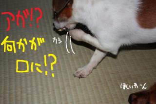 今日カズ０９０４２７　６