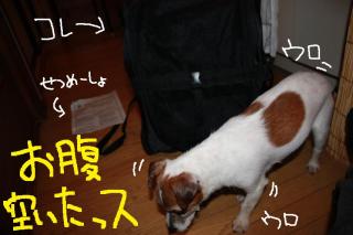 今日カズ０９０４２８　１
