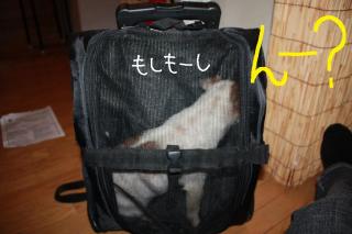 今日カズ０９０４２８　３
