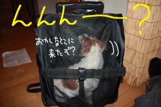 今日カズ０９０４２８　４