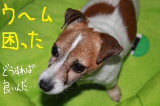 今日カズ０９０４２９　１