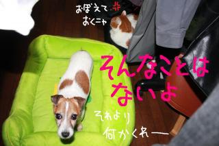今日カズ０９０４２９　３