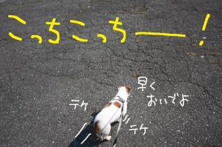 今日カズ０９０４３０　６
