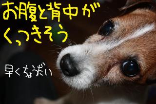 今日カズ０９０４３０　１１