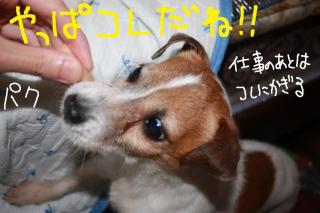 今日カズ０９０４３０　１２
