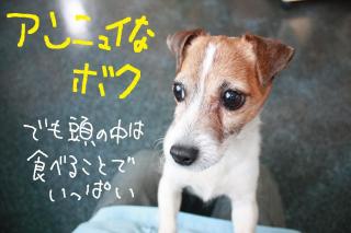 今日カズ０９０５０１　１