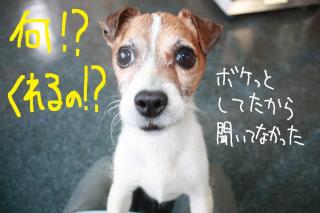 今日カズ０９０５０１　２