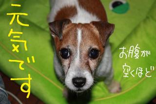 今日カズ０９０５０４　２