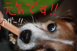 今日カズ０９０５０４　３