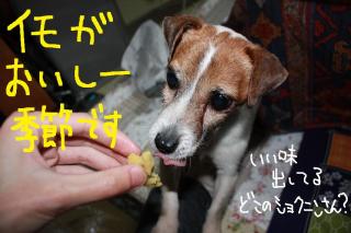今日カズ０９０５０５　１
