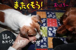 今日カズ０９０５０５　３