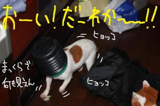 今日カズ０９０５０６　４
