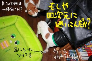 今日カズ０９０５０６　５