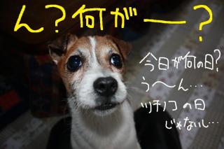 今日カズ０９０５０７　１