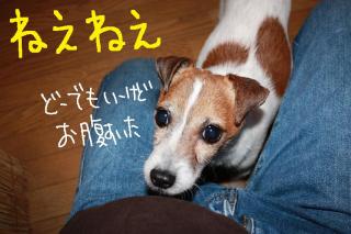 今日カズ０９０５０８　１