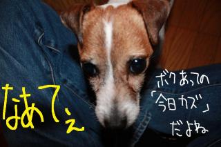 今日カズ０９０５０８　２