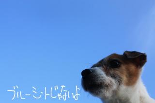 今日カズ０９０５０９　８