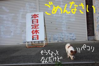 今日カズ０９０５０９　１０