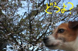 今日カズ０９０５０９　１１