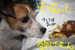 今日カズ０９０５１０　５