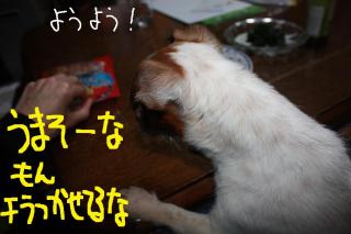 今日カズ０９０５１１　１