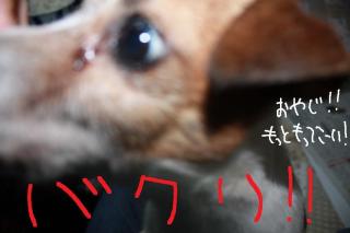 今日カズ０９０５１１　５