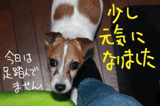 今日カズ０９０５１１　７