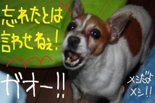 今日カズ０９０５１２　４