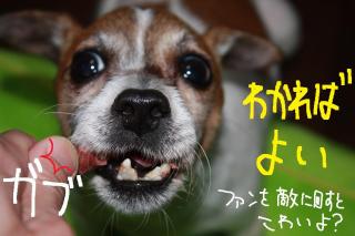 今日カズ０９０５１２　５