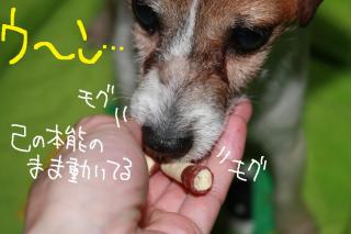 今日カズ０９０５１２　６