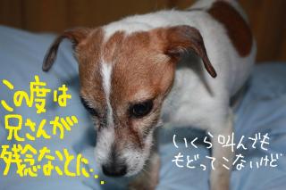 今日カズ０９０５１３　２