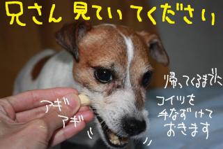 今日カズ０９０５１３　５