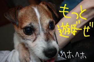 今日カズ０９０５１４　１