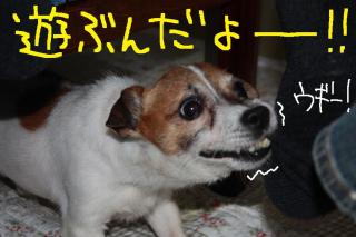 今日カズ０９０５１４　３