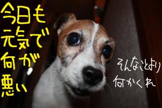 今日カズ０９０５１５　１