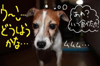今日カズ０９０５１５　２