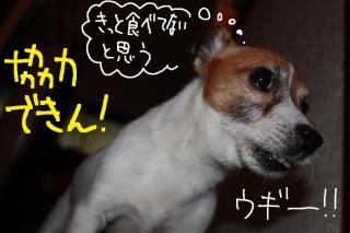 今日カズ０９０５１５　３