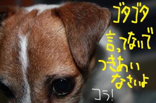 今日カズ０９０５１６　２