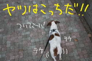 今日カズ０９０５１８　２