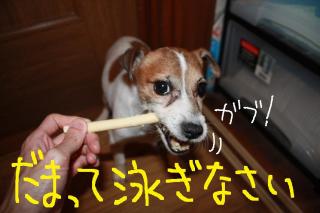 今日カズ０９０５１９　５