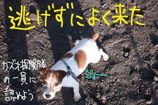 今日カズ０９０５２０　１