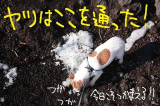 今日カズ０９０５２０　２