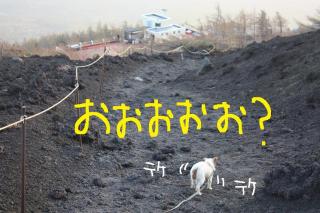 今日カズ０９０５２０　１１