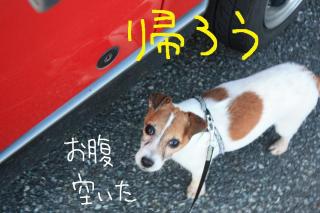 今日カズ０９０５２０　１２