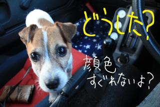 今日カズ０９０５２０　１３
