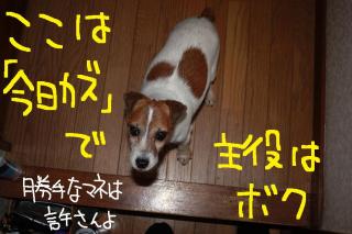 今日カズ０９０５２１　２