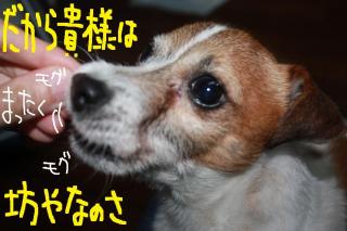 今日カズ０９０５２２　５
