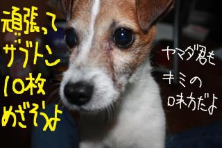 今日カズ０９０５２２　６