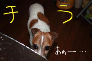 今日カズ０９０５２３　２