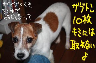 今日カズ０９０５２３　５